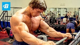 How To Train For Mass  Arnold Schwarzeneggers Blueprint Training Program [upl. by Ferree]