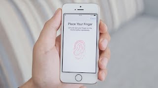 How Does Fingerprint Scanning Work [upl. by Nodearb]