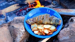 Catching amp Cooking Wild Trout Fish n’ Chips Over a Fire [upl. by Novat380]