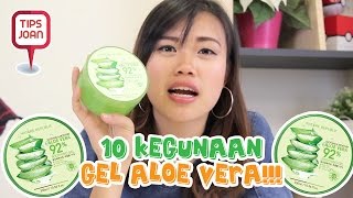 10 Kegunaan Gel Aloe Vera  TIPS NIHAO [upl. by Atikam591]