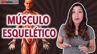 Classificação Morfológica dos Músculos Esqueléticos Sistema Muscular [upl. by Laurene877]