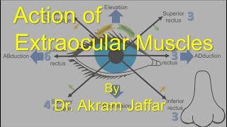 Ophthalmology Extraocular Movement Techniques ubcmedicine [upl. by Felise173]