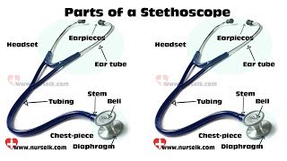 Parts of a Stethoscope [upl. by Anatlus]