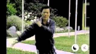 Taoist Tai Chi  Master Moy in Action [upl. by Wiley]