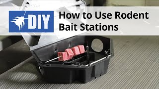 How to Use Rodent Bait Stations [upl. by Philbrook]