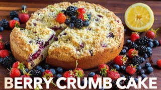 Easy Berry Crumb Cake Recipe [upl. by Orianna202]