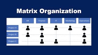 What is a Matrix Organization [upl. by Namzaj447]