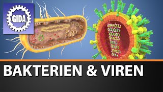 Trailer  Bakterien amp Viren  Biologie  Schulfilm [upl. by Tabb]