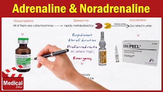 Pharmacology ANS 14 Direct Acting Adrenergic Agonists Adrenaline  Noradrenaline Isoprenaline [upl. by Enaled179]