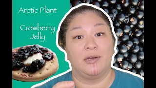 What are crowberries Alaska Native plants  Crowberry Jelly recipe [upl. by Alhak]