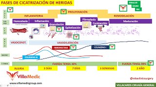 FASES DE LA CICATRIZACIÓN DE HERIDAS BY mbaclinicsurgery [upl. by Blake]