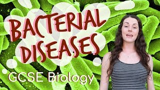 Bacterial diseases  GCSE Biology Revision for 2020 [upl. by Ydnar316]