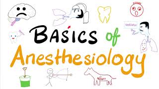 Basics of Anesthesia  An introduction to Anesthesiology [upl. by Ilil674]