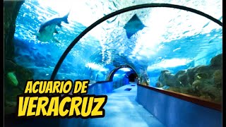 Asi es El Acuario de VERACRUZ el mas grande de Mexico [upl. by Nalor257]