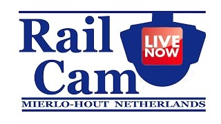 RailCam Road and Rail Crossing MierloHout Netherlands [upl. by Ethelstan]