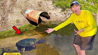 Catching NEW Pet Snapping Turtles HUGE BITE [upl. by Neelcaj]