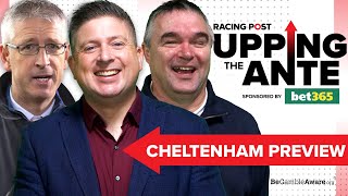 Upping The Ante  Cheltenham Preview Show 2024  Horse Racing Tips [upl. by Aldric]