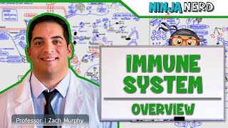 Immunology  Immune System Overview [upl. by Isak]