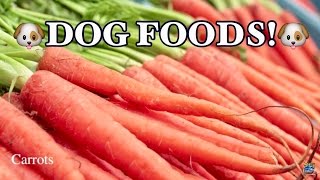 TOP 10 BEST FOODS FOR DOGS [upl. by Miller224]