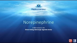 Norepinephrine [upl. by Ohploda]