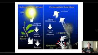 Types of Autotrophs [upl. by Nonah]