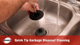 Quick Tip Garbage Disposal Cleaning [upl. by Eislehc]