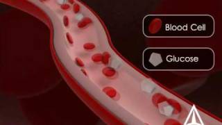 Diabetes Education  3D Medical Animation [upl. by Nylarak767]