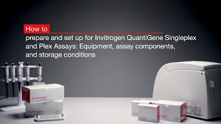 How to setup for Invitrogen™ QuantiGene™ Assays Equipment assay components and storage conditions [upl. by Aret260]