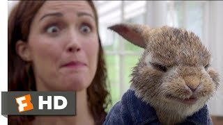 Peter Rabbit 2018  Skirmish In The Studio Scene 510  Movieclips [upl. by Avla]