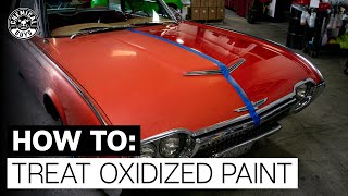 How To Restore Faded amp Discolored Paint  Chemical Guys [upl. by Aidnac]