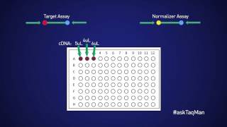 AdvantagesDisadvantages of Singleplex and Duplex qPCR  Ask TaqMan® Ep 14 by Life Technologies [upl. by Mccreery]