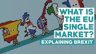 European Single Market  Explaining Brexit [upl. by Aidiruy]