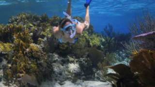 Snorkeling Southwest Reef New Providence Bahamas [upl. by Kantor]