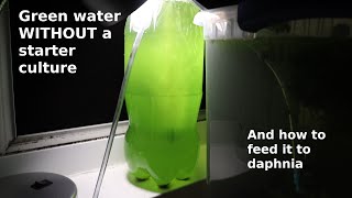 Green Water WITHOUT a Starter Culture  From Scratch  How To [upl. by Baer]