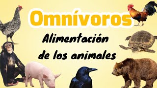 Animales omnívoros [upl. by Arie]