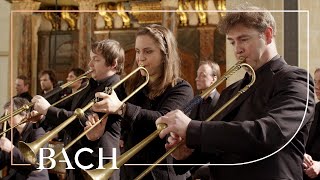 Bach  Sinfonia from Cantata BWV 29  Netherlands Bach Society [upl. by Ecal]