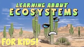 Learning About Ecosystems [upl. by Gene]