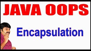 Java Tutorials  Java OOPS  Encapsulation  by Durga Sir [upl. by Elyrpa756]