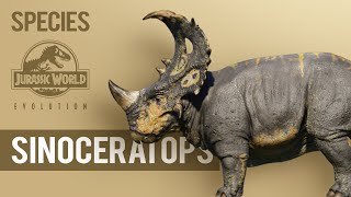 Sinoceratops  SPECIES PROFILE  Jurassic World Evolution [upl. by Nitz]