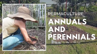 Permaculture  How to plan your Perennials [upl. by Bergh]