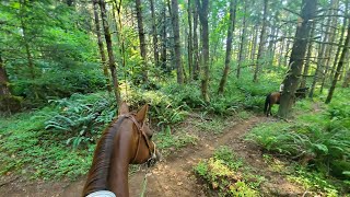 Horse Trail ride on a difficult singletrack trail [upl. by Farro]