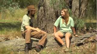 Bush stonecurlews  with Dr Dave [upl. by Thirzi]