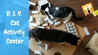 DIY Cat Activity Center  Cat Enrichment [upl. by Ojahtnamas]