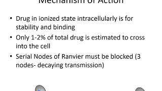 Local Anesthetics Pharmacology  Dr Bauereis [upl. by Amoeji]