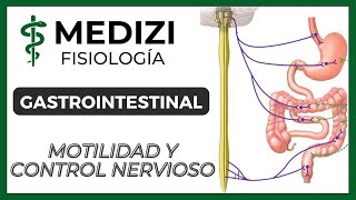 Clase 43 Fisiología Gastrointestinal  Motilidad y Control Nervioso IGdoctorpaiva [upl. by Neddy]