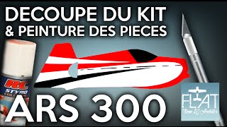 ARS 300  Découpe amp Peinture dun Avion 3D Indoor  FLAT Aerobatics [upl. by Accissej]