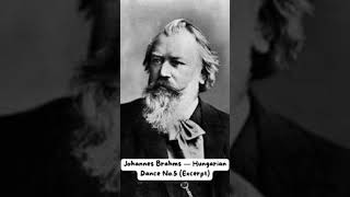 Brahms — Hungarian Dance No5 Excerpt brahms music orchestra [upl. by Rubbico629]