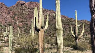 Sunset Vista Trail in Picacho Peak State Park [upl. by Laureen]