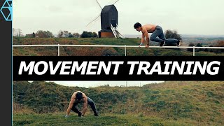 Movement Training Explained Ido Portal Animal Flow and Primal Workouts [upl. by Llevert]