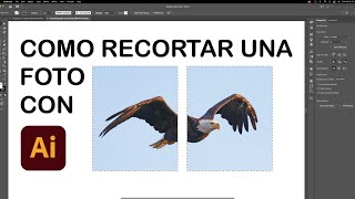 Como recortar una foto en illustrator 2021 [upl. by Smiga]